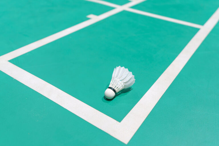 shuttlecock on badminton playing court