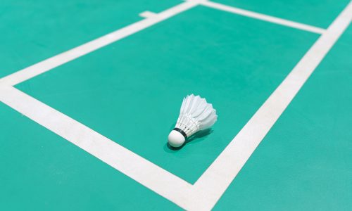 new shuttlecock on green badminton playing court