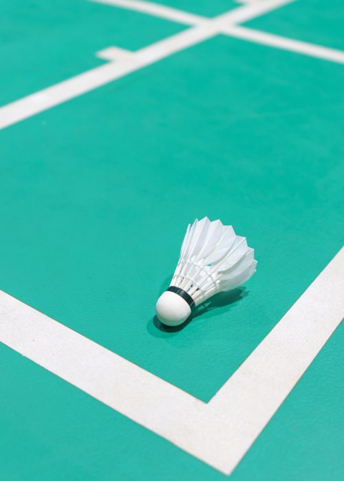 new shuttlecock on green badminton playing court